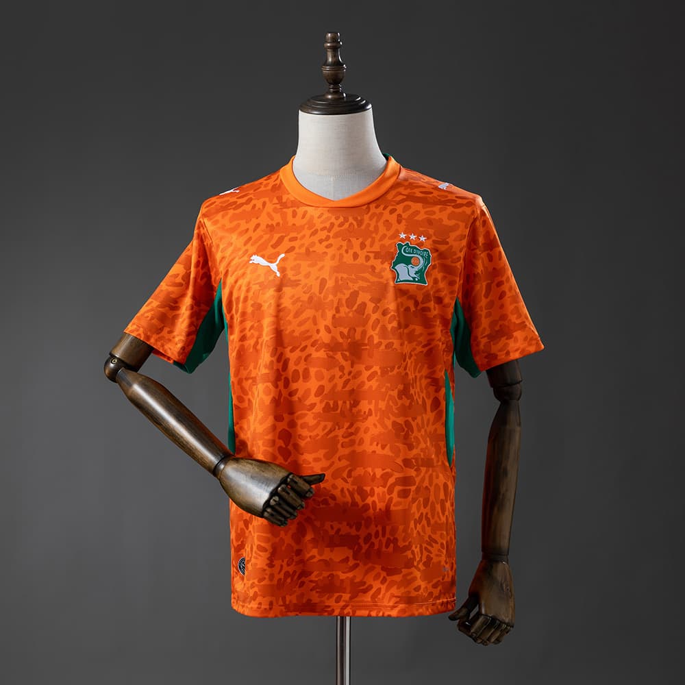 Imagem do produto Camisa Costa do Marfim Puma | 2026/27 Torcedor Masculina